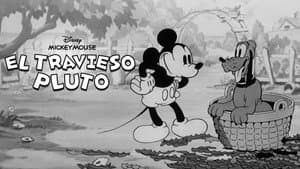 El travieso Pluto — foto 10