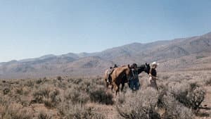 Women in Love: Desert Hearts — foto 1