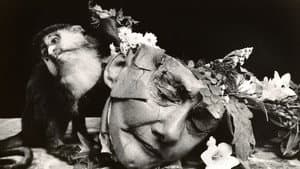 Witkin & Witkin — foto 1