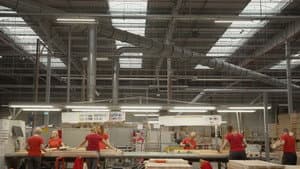 Ikea, le seigneur des forêts — foto 1