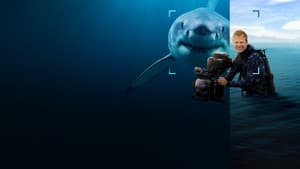 Tiburones De Cerca Con Bertie Gregory — foto 9