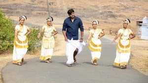 മാഫി ഡോണ — foto 1