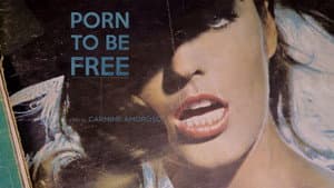 Porno & Libertà — foto 6