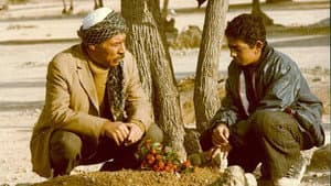 تاتوره — foto 1