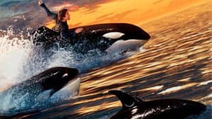 Liberen a Willy 2 — foto 5