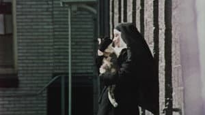 L'amour humain — foto 1