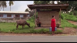 Nagpapanggap — foto 2