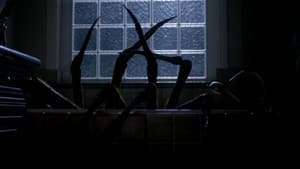 Night Spider — foto 1