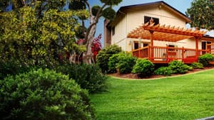 Curb Appeal Xtreme — foto 2
