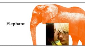 Elefante — foto 1