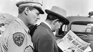 Highway Dragnet — foto 4
