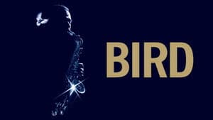 Bird — foto 5
