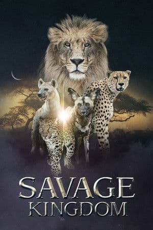 Temporada 4
