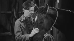 Two Thoroughbreds — foto 1
