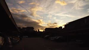 No Ward — foto 4