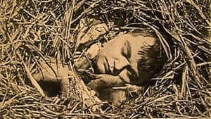 The Hayseed — foto 1