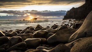 Who Owns New Zealand Now? — foto 1