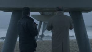 Radiacions — foto 2