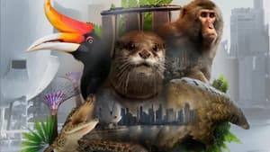 Wild City — foto 1