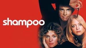 Shampoo — foto 10