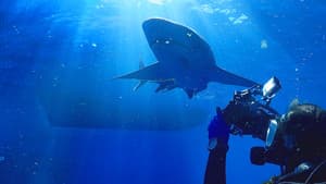 Jaws vs. Boats — foto 8
