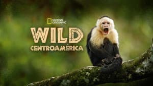 Wild Centroamérica — foto 6