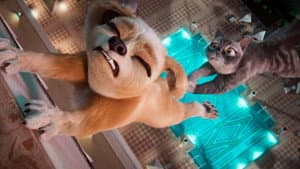 Mascotas En Apuros — foto 3