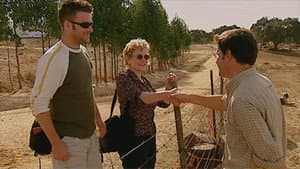 Episodio 7