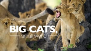 Big Cats, Small World — foto 3