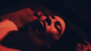 Jonna — foto 1