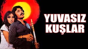 Yuvasız Kuşlar — foto 4