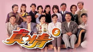 真情 — foto 2