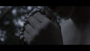 PER SANGUINEM CRUCIS — foto 1