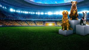 Puppy Bowl Presents: The Summer Games — foto 2