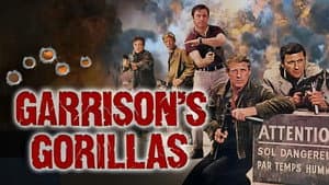 Garrison's Gorillas — foto 1