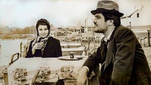 Dolmuş Şoförü — foto 1