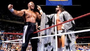 WWE SummerSlam 1989 — foto 3