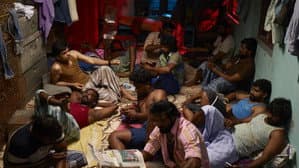 வெந்து தணிந்தது காடு — foto 1