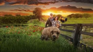 Mi gran pequeña granja: El regreso — foto 8