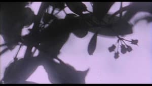 Belle de Nature — foto 6