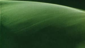 Alaya — foto 3