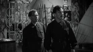 Jadzia — foto 7