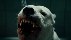 Dogman — foto 3