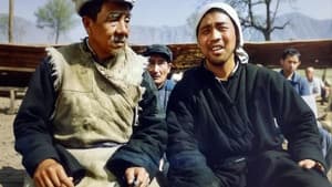 笨人王老大 — foto 1