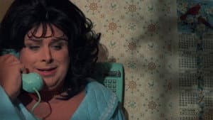 Polyester — foto 6
