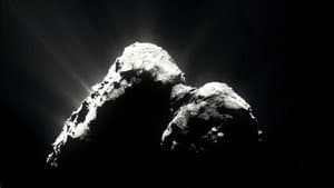 The Comet — foto 2