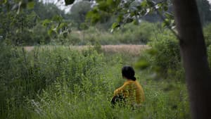 摇摇晃晃的人间 — foto 1