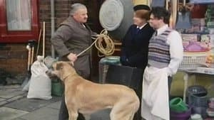 Episodio 4