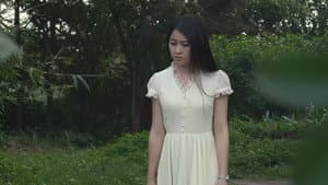 斩风行动 — foto 1