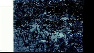 Echoed Silence — foto 5